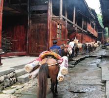 Xizhou Town